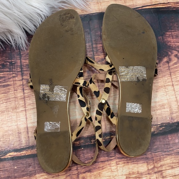 Steve Madden Henna Leopard Strappy Sandal - Picture 6 of 7